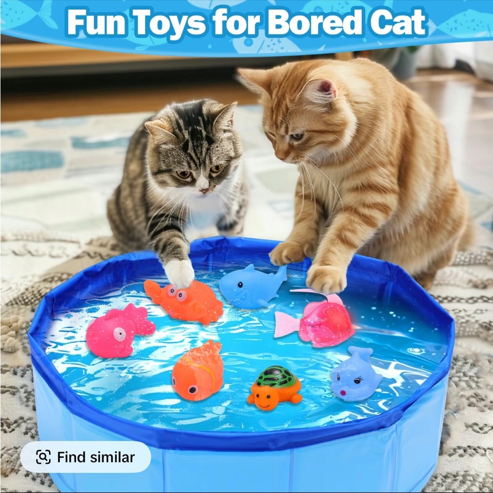 Cat Toy Blue Pool